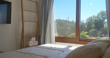 Buena Vid- Cafayate- Between Wineries