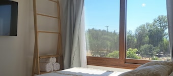 Buena Vid- Cafayate- Between Wineries