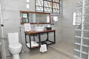 Hair dryer, towels, soap, toilet paper