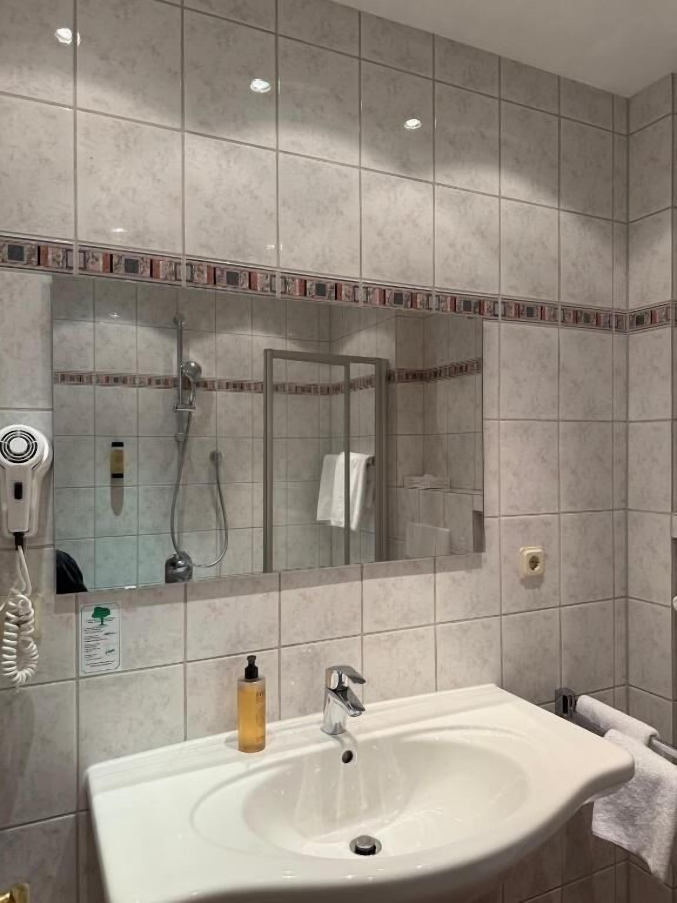 A bathroom with a large mirror, a sink, a handheld showerhead, and a towel rack.