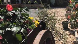 A two-story house with a stone facade, a tiled roof, and a garden with potted plants and flowers. - Gîte near Durbuy, golf and Adventure Valley (Érezée)
