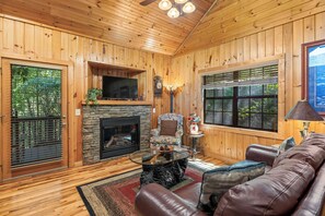 电视、壁炉、DVD 播放器