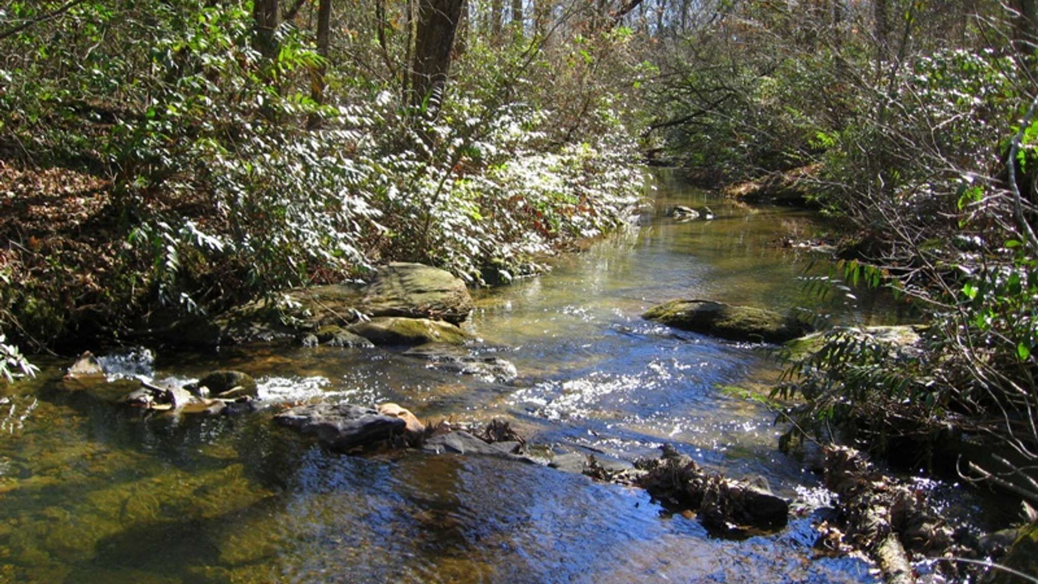 Un arroyo natural con rocas y vegetación.