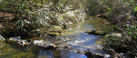 Un arroyo natural con rocas y vegetación.
