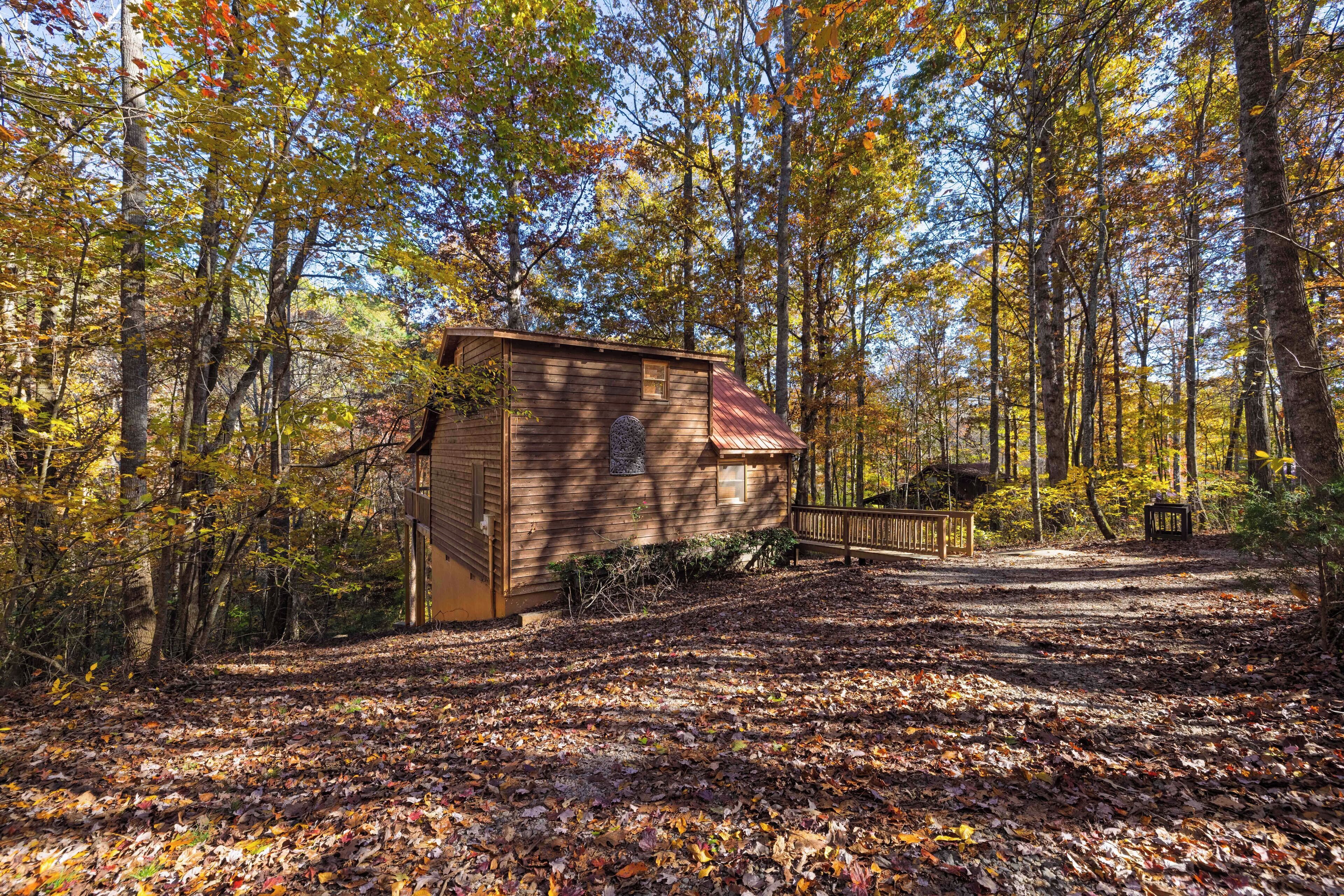 Una baita rustica circondata da un bosco, con una veranda in legno e un tavolo da picnic coperto.