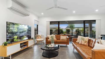 TV, books, offices
