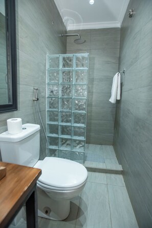 Hair dryer, towels, soap, toilet paper