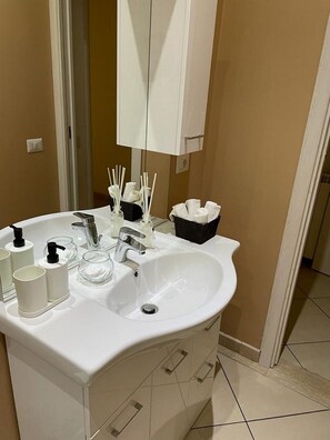 Shower, hair dryer, bidet, towels