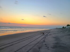 Una playa cerca