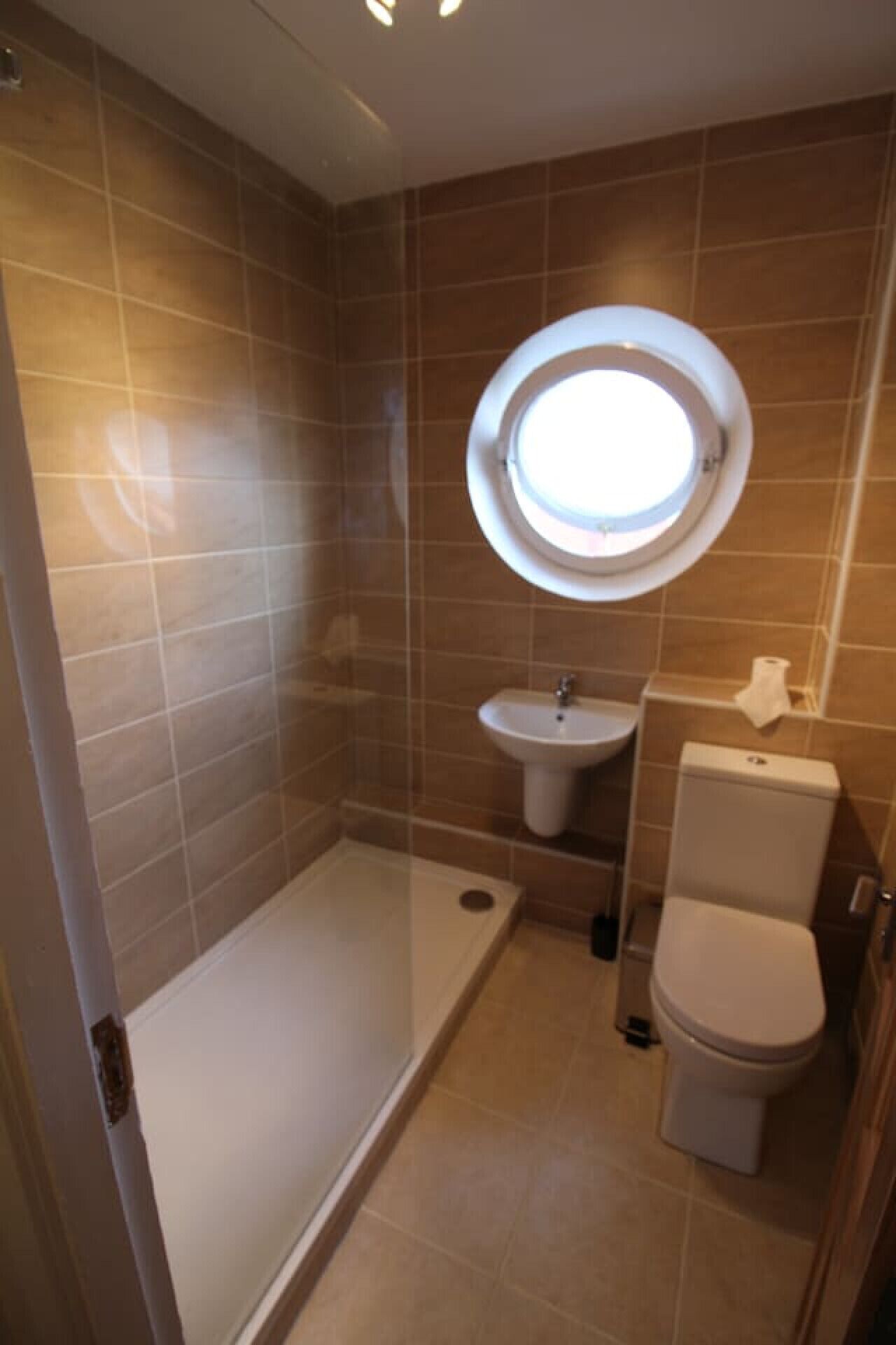 A bathroom with a shower, sink, toilet, and a skylight.