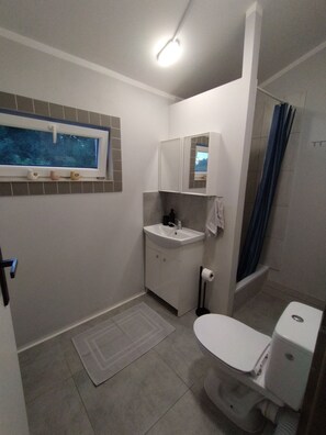 Douche, séchoir à cheveux, serviettes fournies, savon