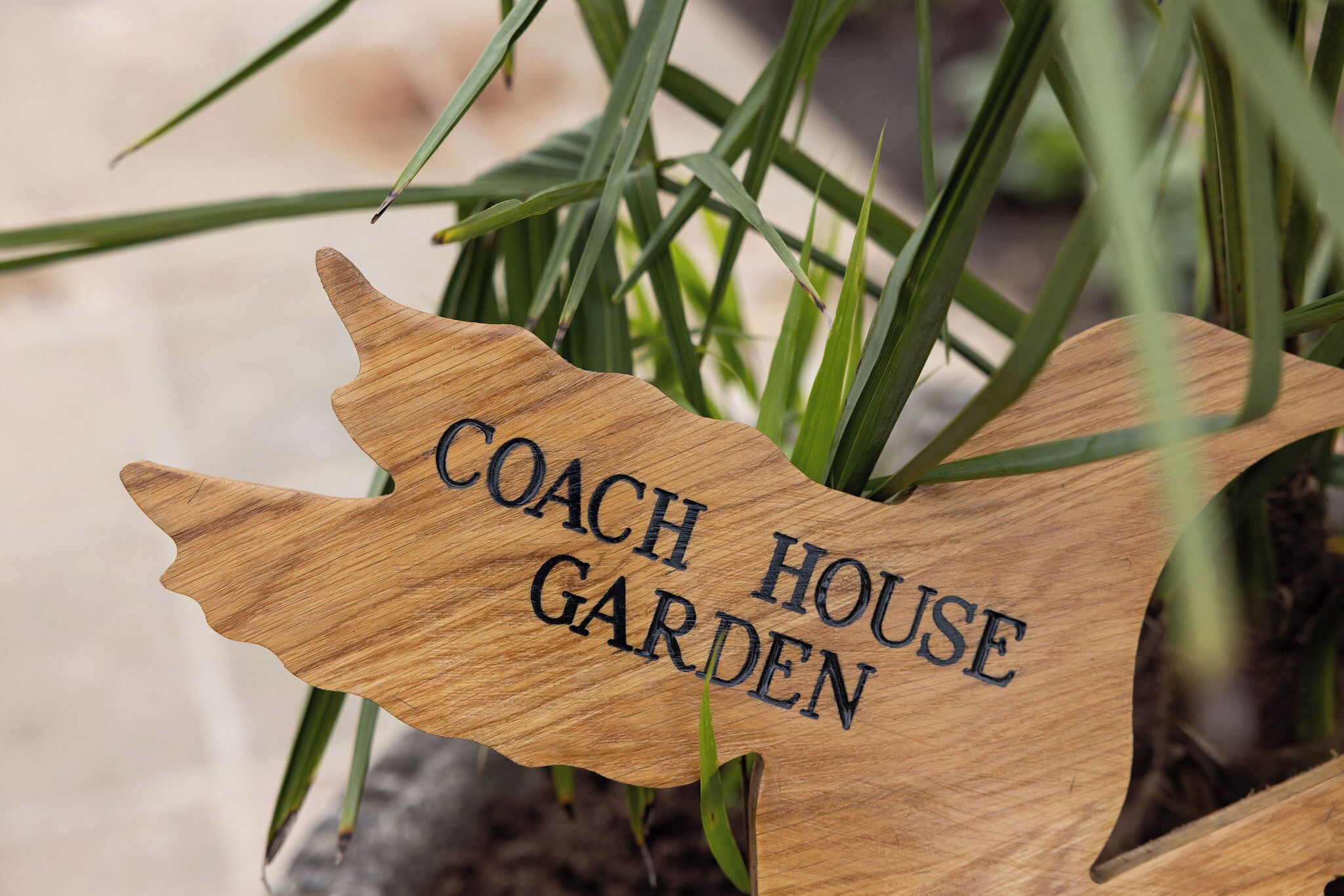 Ein hölzernes Schild mit der Aufschrift 'COACH HOUSE GARDEN'.