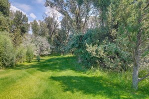 A natural landscape with a grassy path surrounded by dense trees and shrubs. - Ski, Hike, Explore: Modern Guest Suite in Rigby (Rigby)