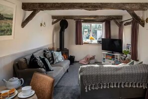 TV, fireplace - Coulscott Peacock Cottage (Combe Martin)