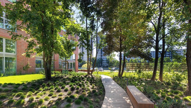 Un jardín ajardinado con un sendero de madera, árboles y un edificio al fondo.