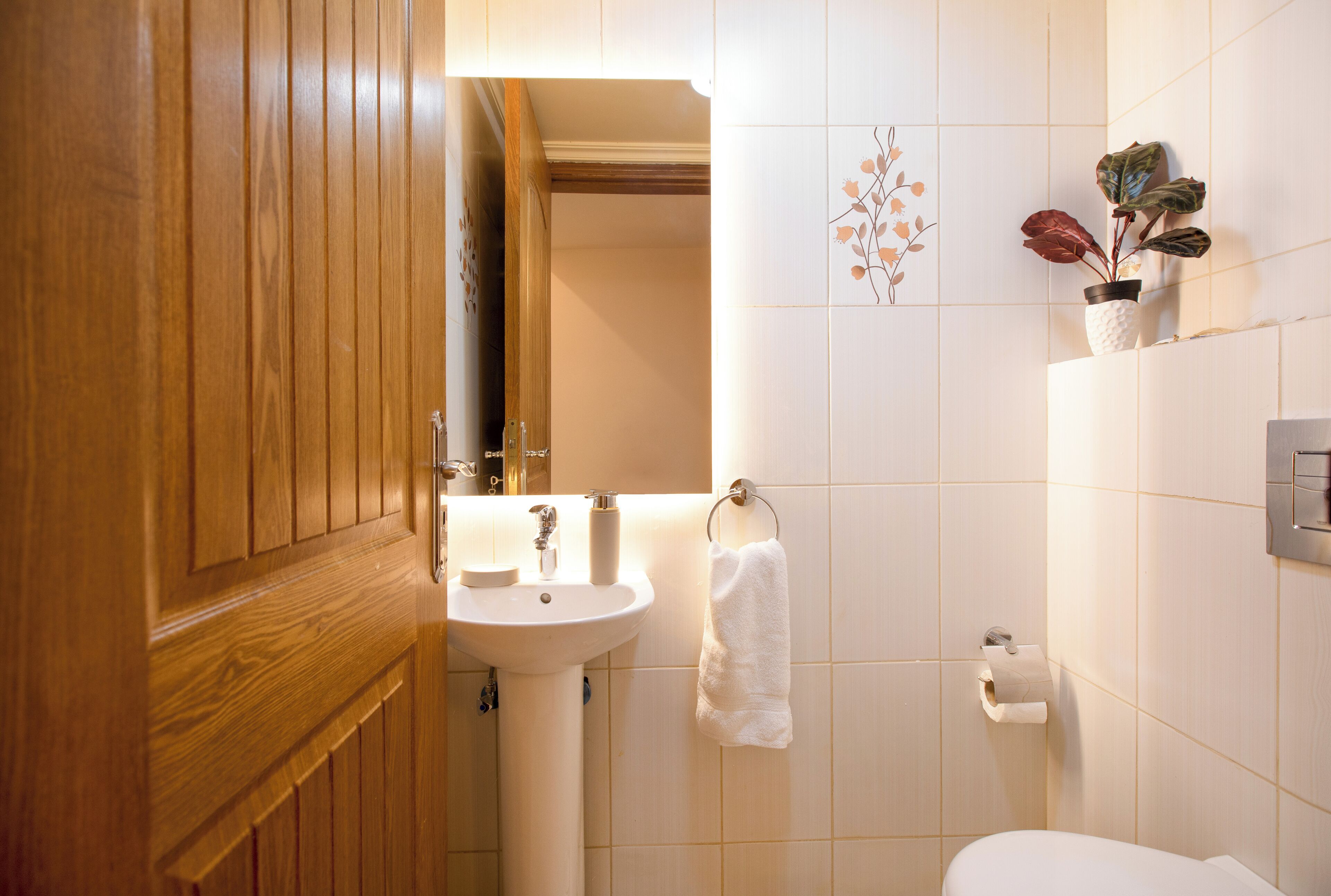 Un baño con puerta de madera, un lavamanos, un inodoro y una planta pequeña en la pared.