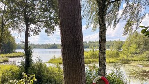 Paisaje natural con un lago, árboles y un flotador colgado de un árbol.