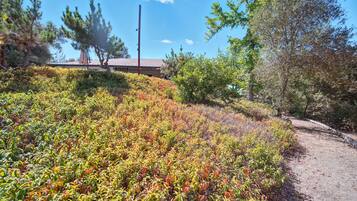 Rumah, 3 kamar tidur | Halaman properti