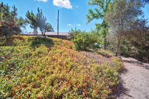 Ferienhaus, 3 Schlafzimmer | Unterkunftsgelände