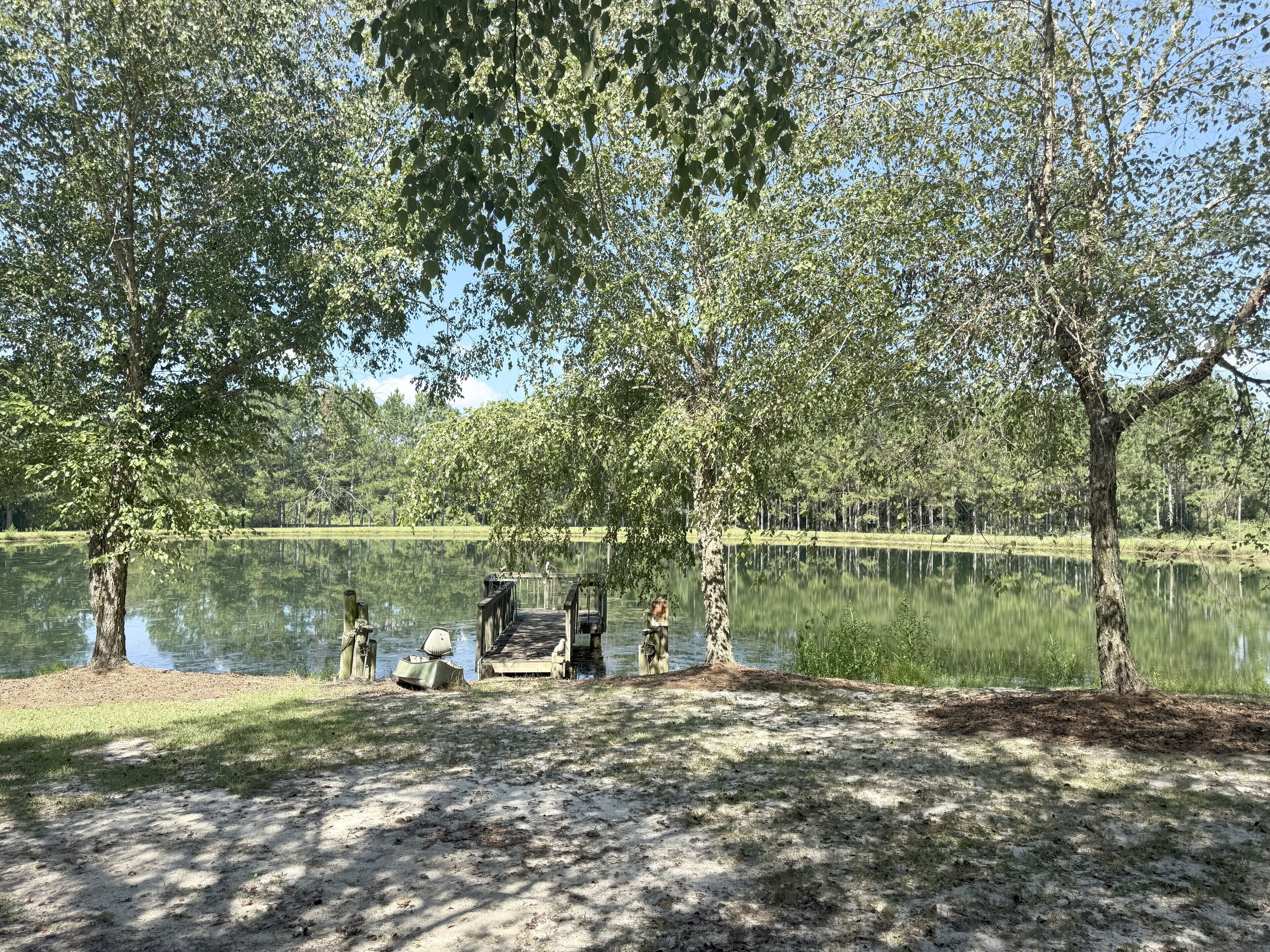 Un parque tranquilo junto al lago con un muelle de madera que se adentra en el agua, rodeado de árboles y zonas verdes.