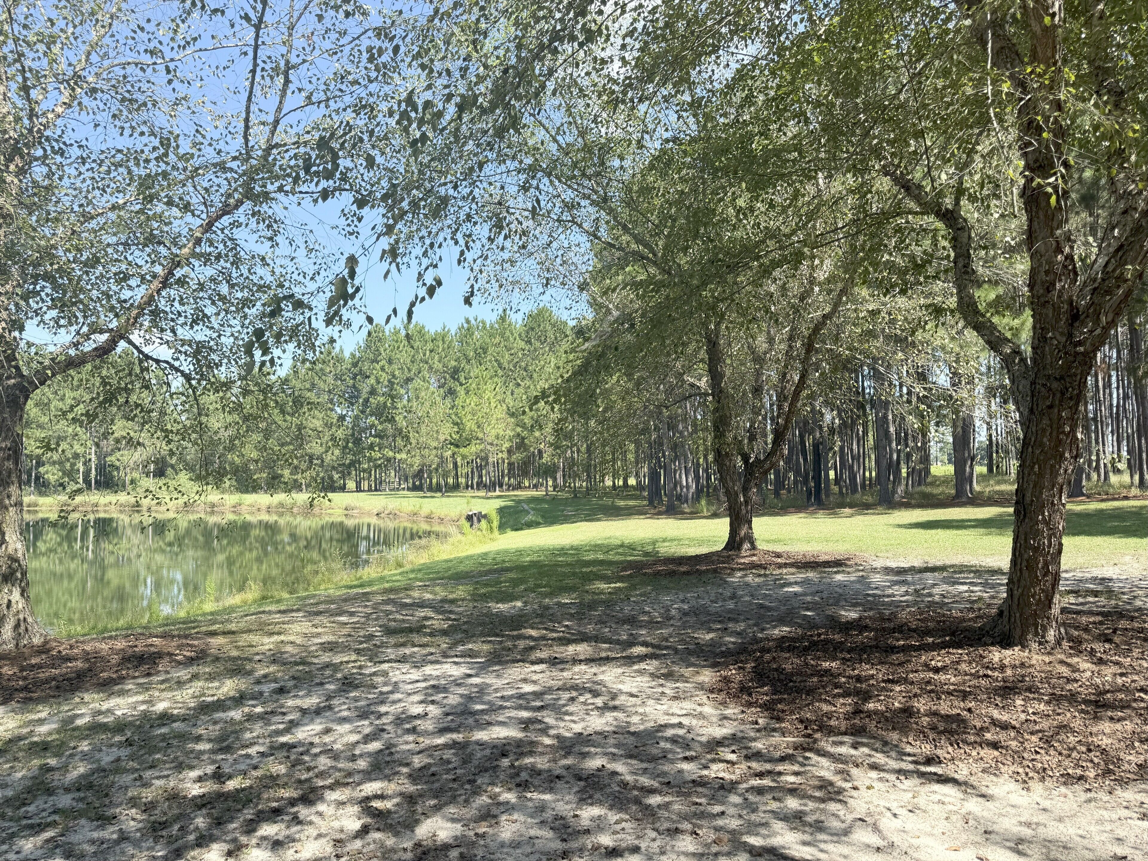 A serene park with a pond, trees, and a grassy area.