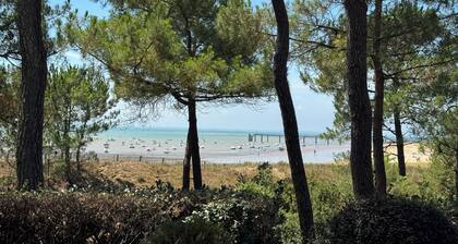 House facing the sea, 4 bedrooms 3 bathrooms, 80m from the beach