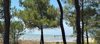 House facing the sea, 4 bedrooms 3 bathrooms, 80m from the beach