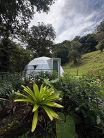 Una estructura abovedada rodeada de abundante vegetación y árboles.