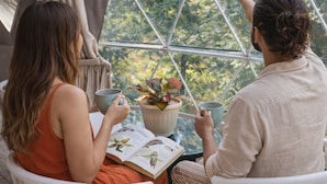 Ein Zelt mit großem Fenster, zwei Personen sitzen an einem Tisch mit einem Buch und einer Pflanze, im Hintergrund sind Bäume zu sehen.