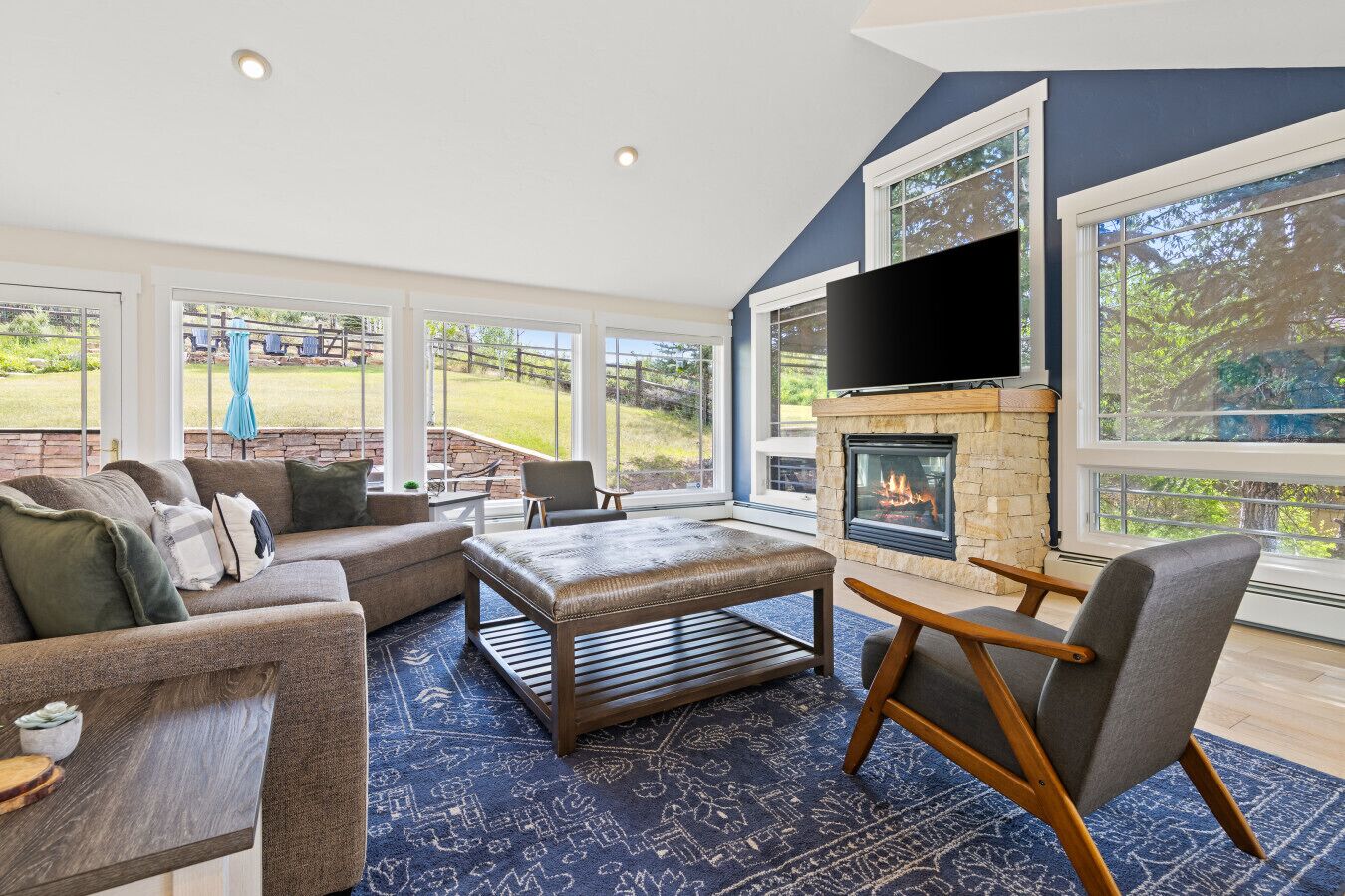 Smart TV, fireplace, books, offices