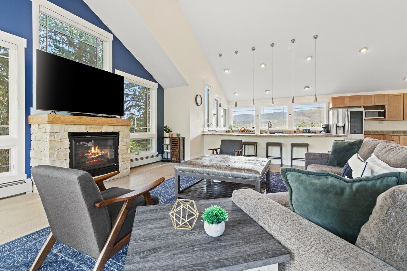 Smart TV, fireplace, books, offices