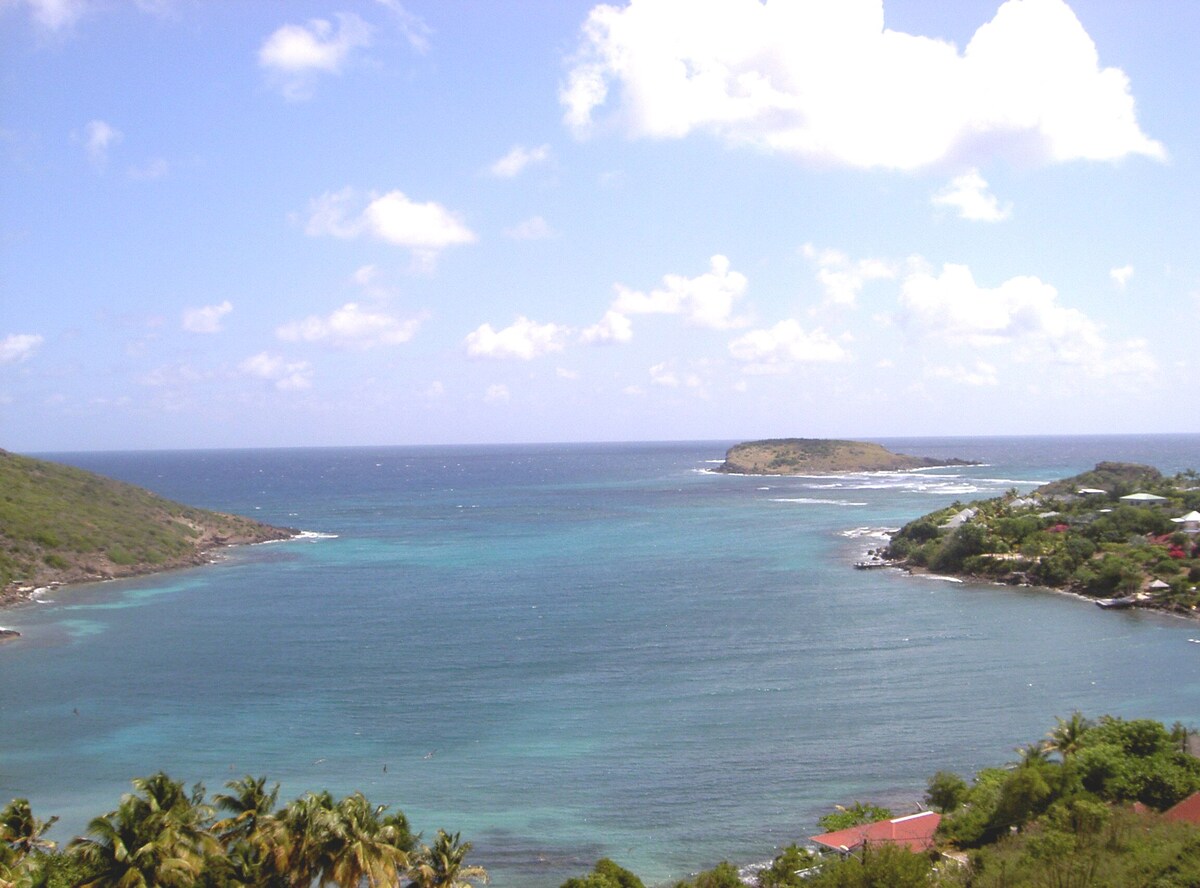 Imagem do perfil do anfitrião