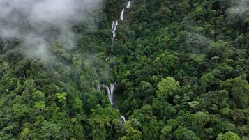 A dense forest with multiple waterfalls cascading down a steep cliff.