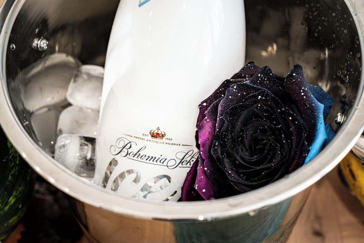 A bucket containing a bottle of Bohemia beer and a purple rose.
