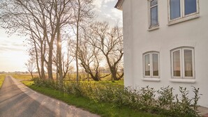 Une route de campagne bordée d’arbres et un bâtiment blanc doté de fenêtres en arc de cercle.
