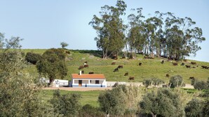 Un paisaje rural con un edificio blanco de techo rojo, rodeado por una colina cubierta de hierba, árboles y ganado pastando.