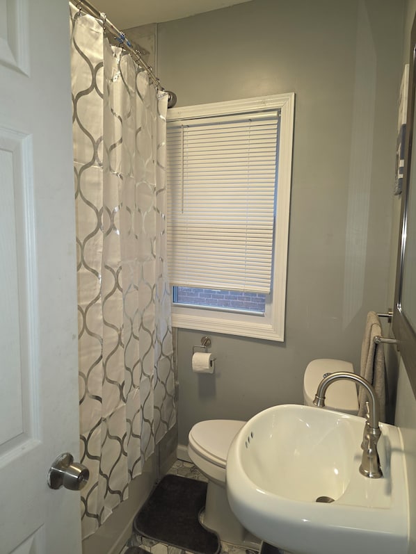 Hair dryer, towels, soap, toilet paper