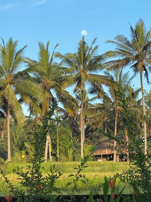 Utsikt fra overnattingsstedet