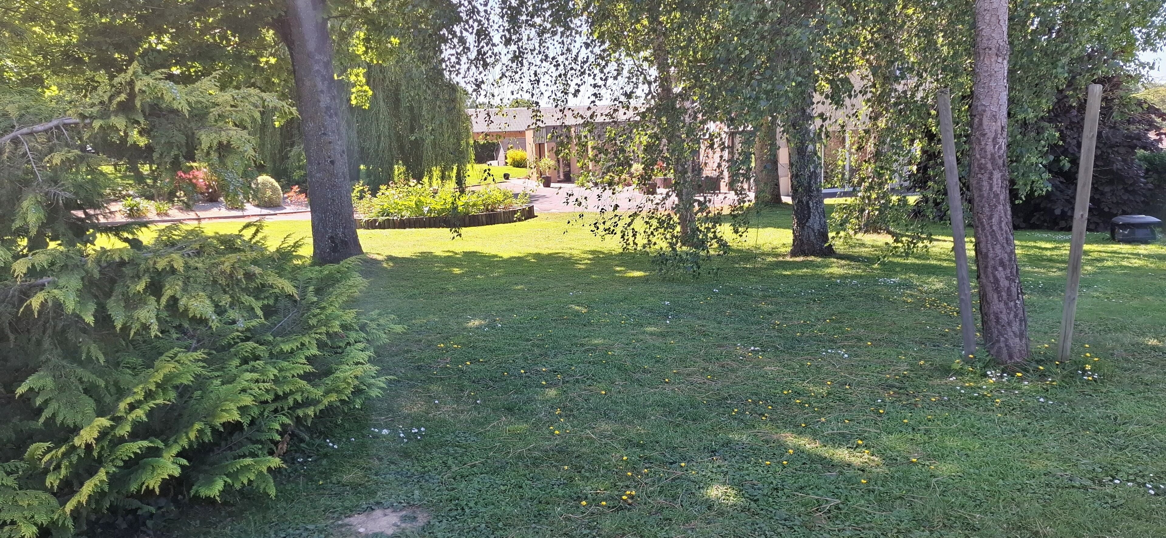 En välskött trädgård med olika sorters träd och buskar, en gräsmatta och en byggnad i bakgrunden.