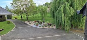 Vista desde la habitación