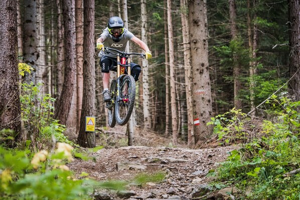 A mountain biker in mid-air on a dirt trail surrounded by tall trees.