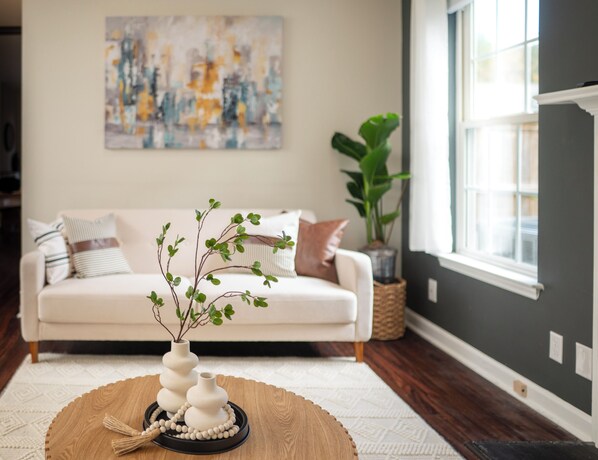 TV - Entire home in RTP near Duke, fenced backyard (Durham)