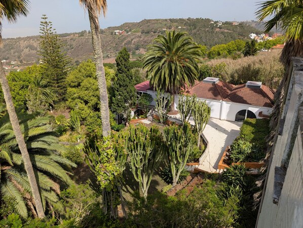 A house surrounded by lush vegetation, including palm trees and cacti, with a view of a hilly landscape in the background.