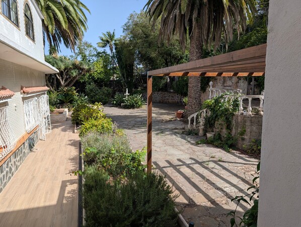 A courtyard with a pergola, stone pathway, and various plants.