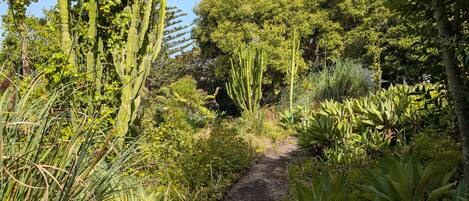 Jardines del alojamiento