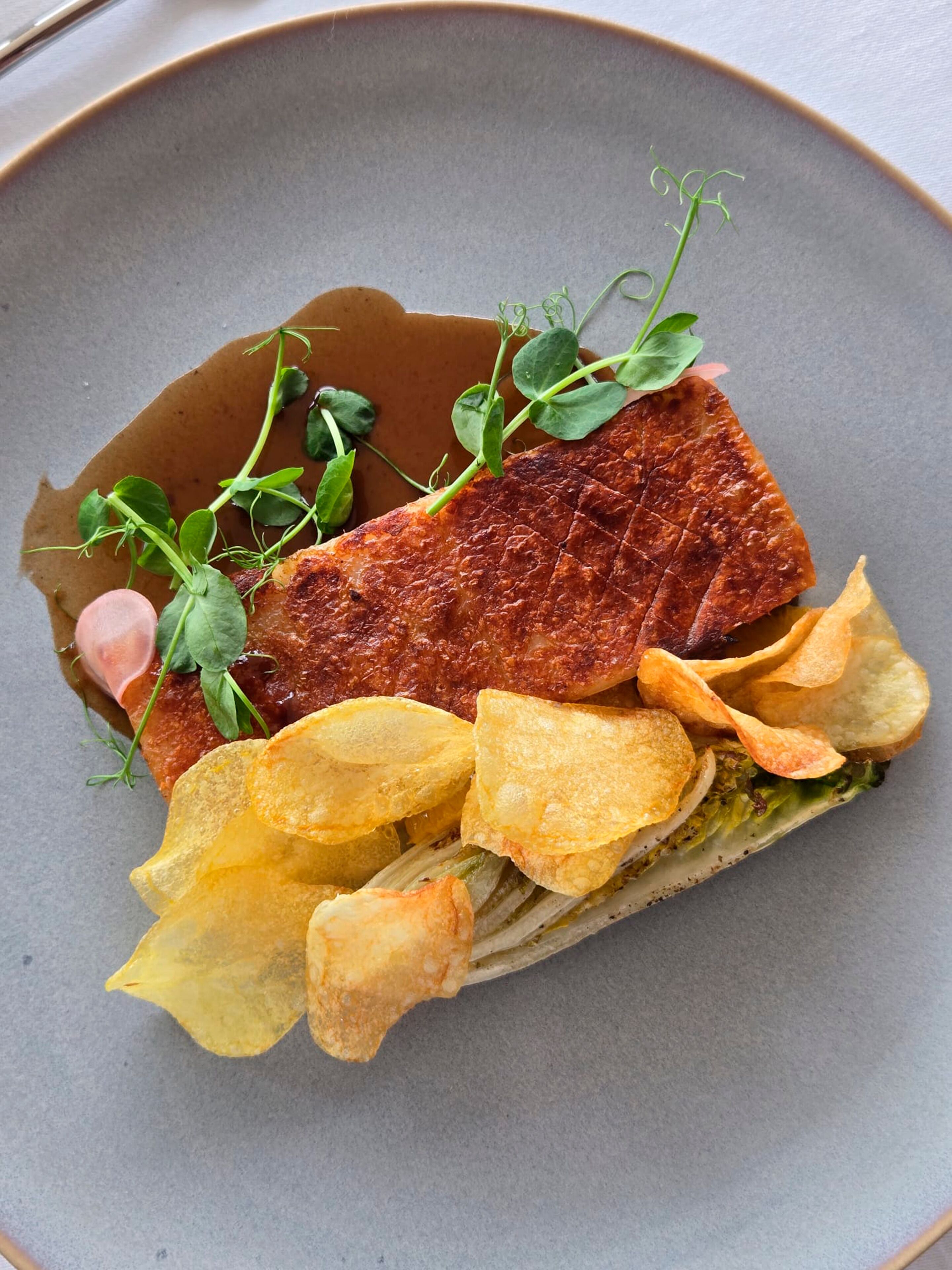 A plate with a piece of meat, chips, and greens.