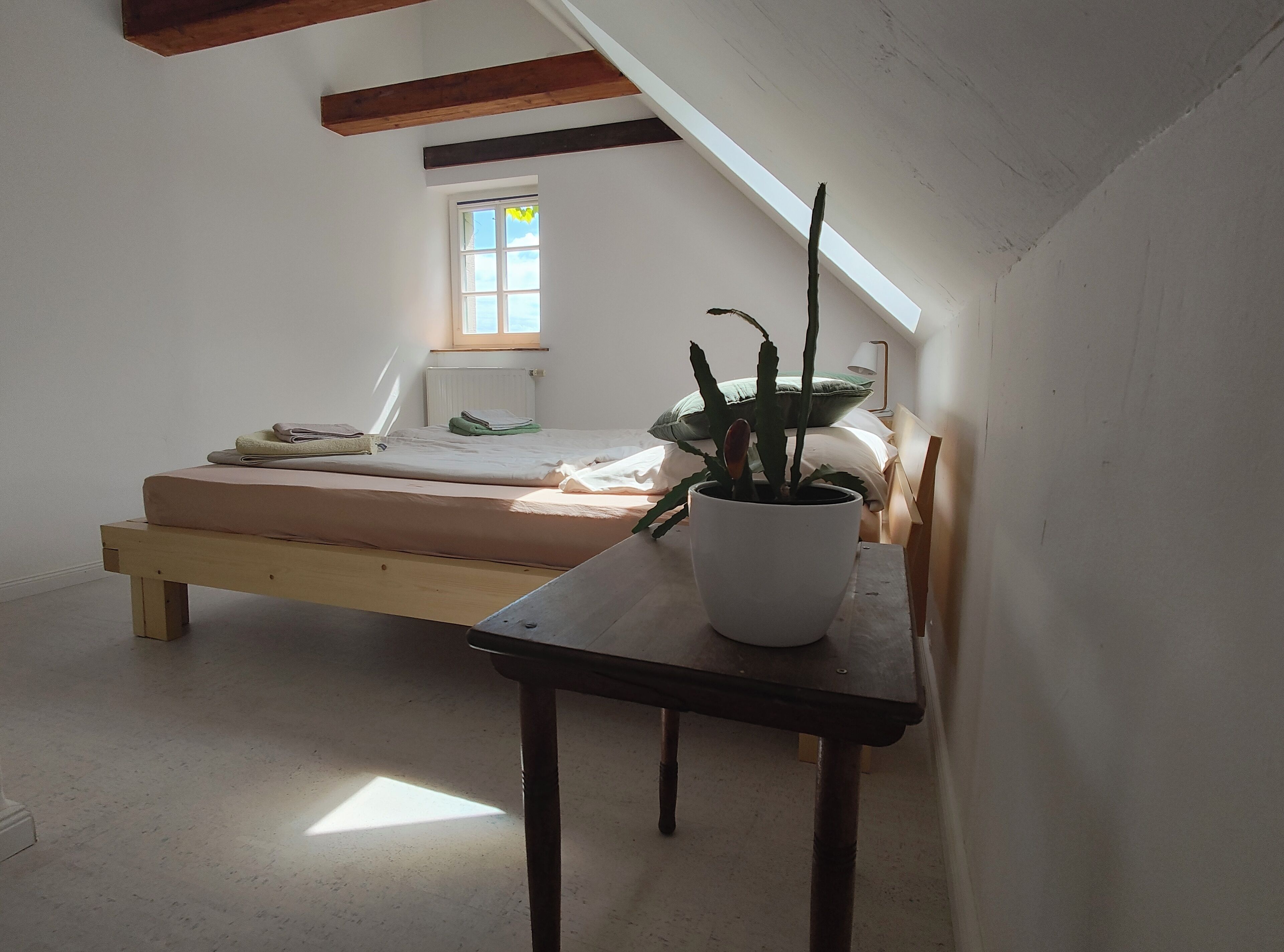 A bedroom with a sloped ceiling, a bed, a bedside table with a potted plant, and a window providing natural light.