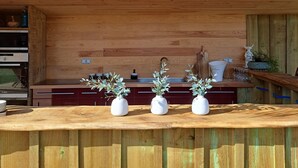 Un interno in legno con angolo cottura, che include un bancone con piante in vaso, pensili di legno e un lampadario.