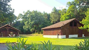 Un rustico fienile con base bianca e tetto in legno, immerso nel verde e circondato da alberi.
