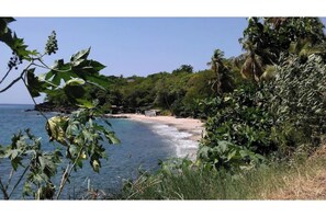 A coastal landscape with a beach, dense foliage, and a clear view of the sea. - Studio on the Corniche d'Or (Pointe-Noire)
